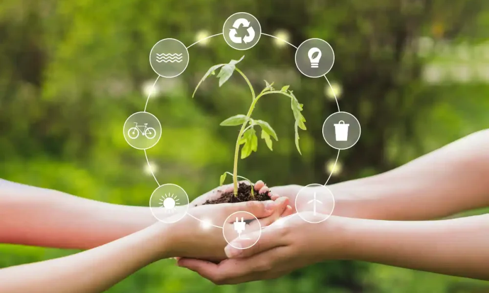 Environmental Science and Sustainability