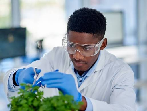Environmental Science